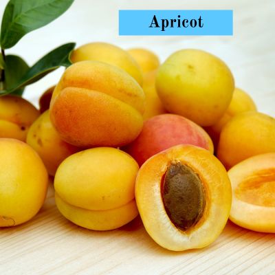 Apricot