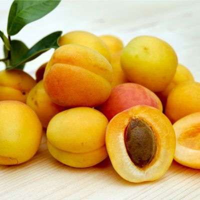 Apricots