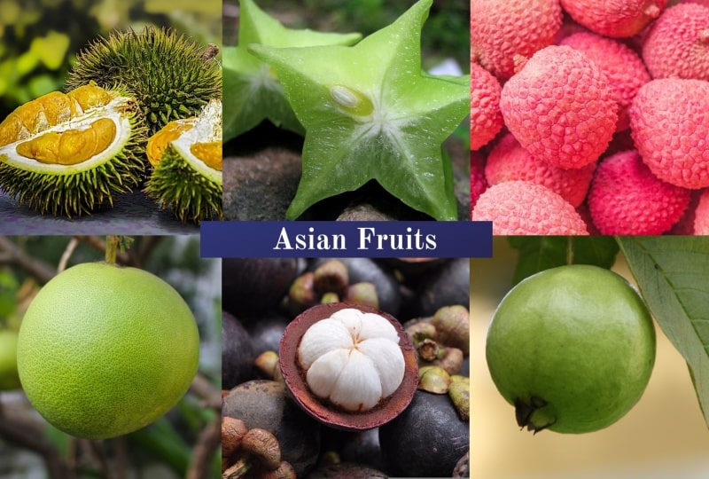 Asian Fruits With Their Amazing Pictures & Taste