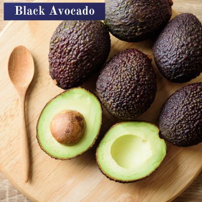 Black Avocado