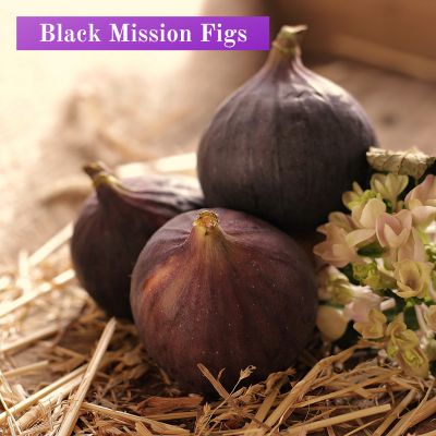 Black Mission Figs