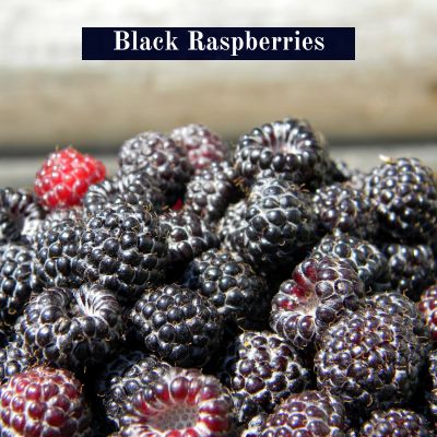 Black Raspberries