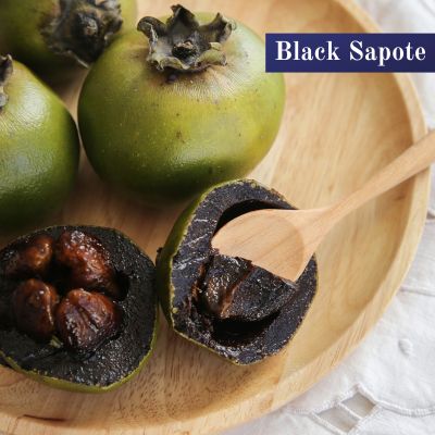 Black Sapote