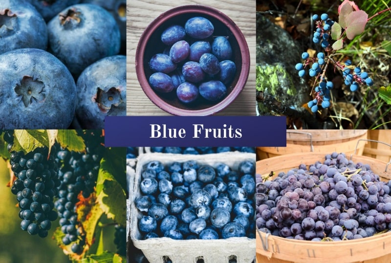 Blue Fruits