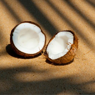 Coconut