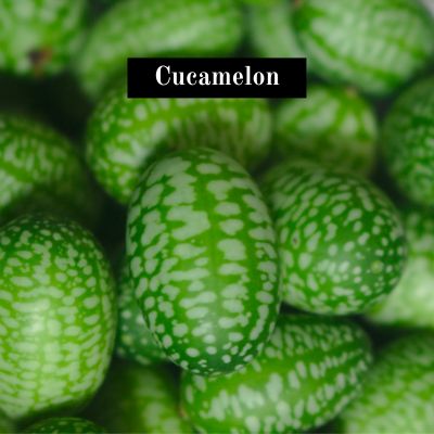 Cucamelon