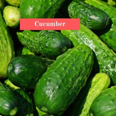 Cucumber