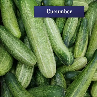 Cucumber