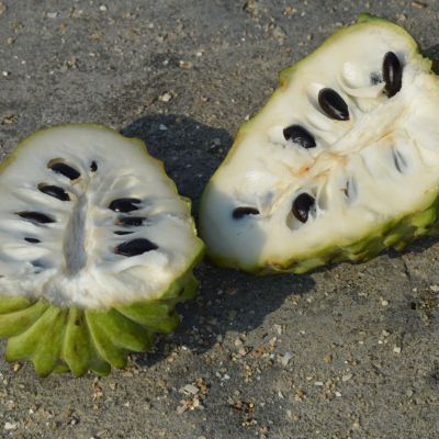 Custard Apple