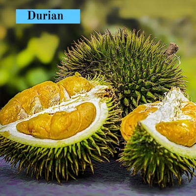 Durian