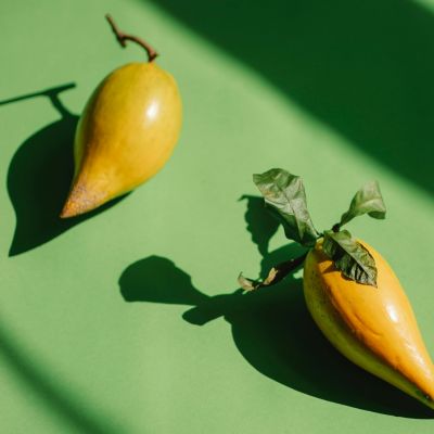 Eggfruit