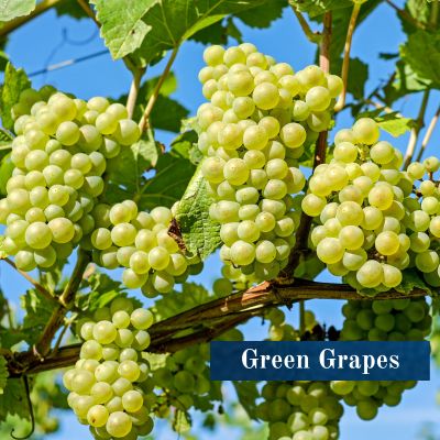 Green Grapes