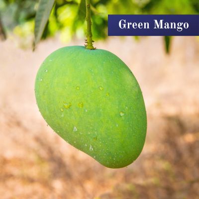 Green Mango