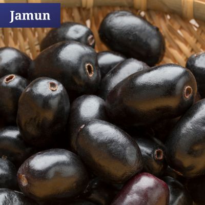 Jamun