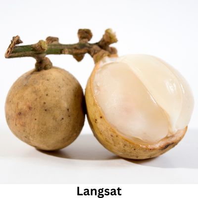 Langsat