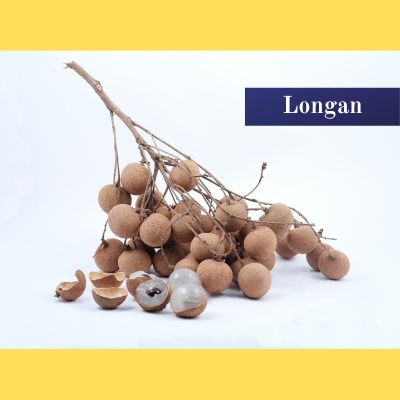 Longan