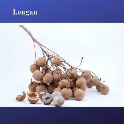 Longan