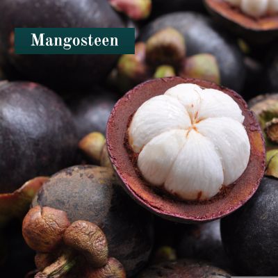 Mangosteen