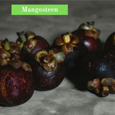 Mangosteen