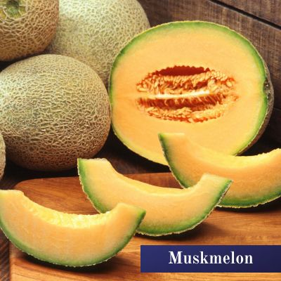 Muskmelon