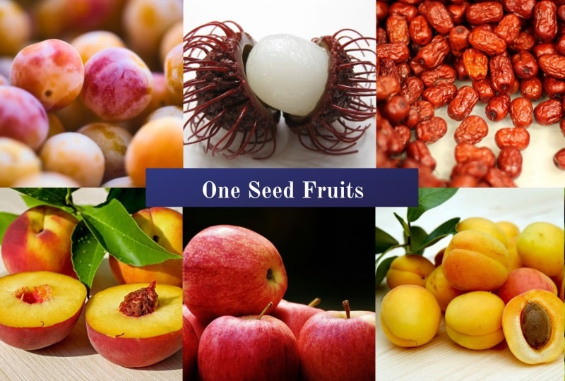 One Seed Fruits