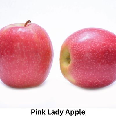 Pink Lady Apple