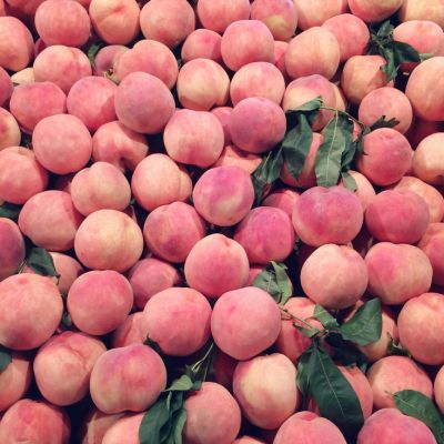 Pink Peaches