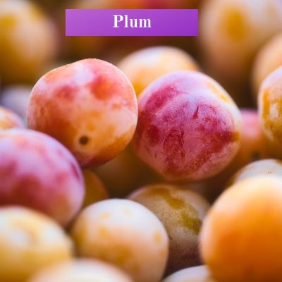 Plum