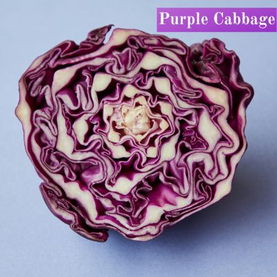 Purple Cabbage