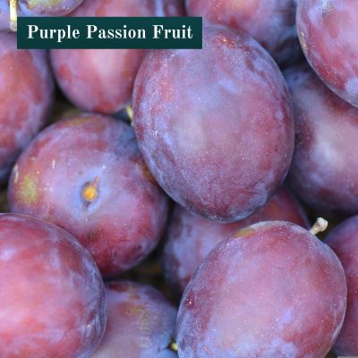 Purple Passion Fruit