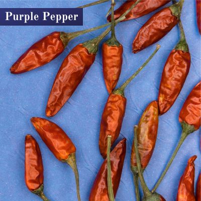 Purple Pepper