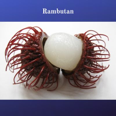 Rambutan