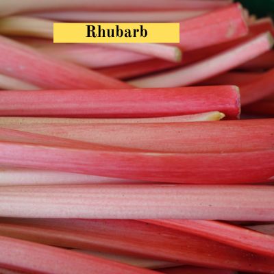 Rhubarb