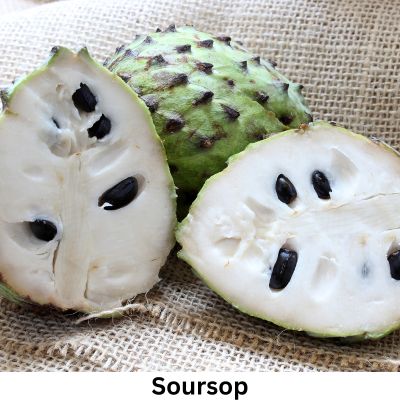 Soursop