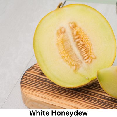 White Honeydew