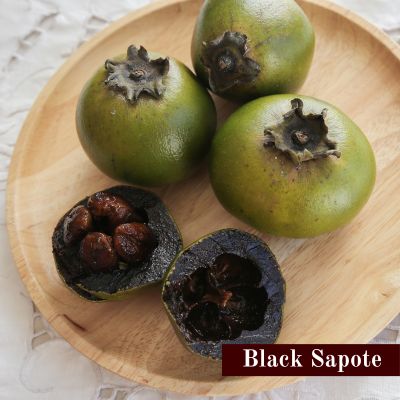 Black Sapote