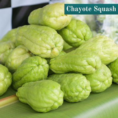 Chayote Squash