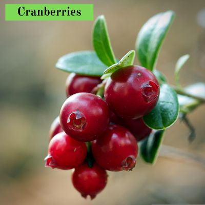 Cranberries