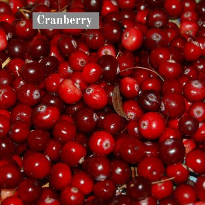 Cranberry