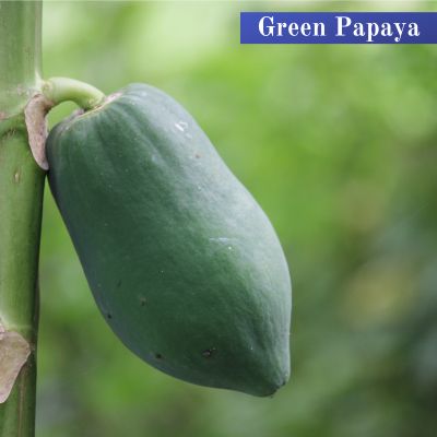 Green Papaya