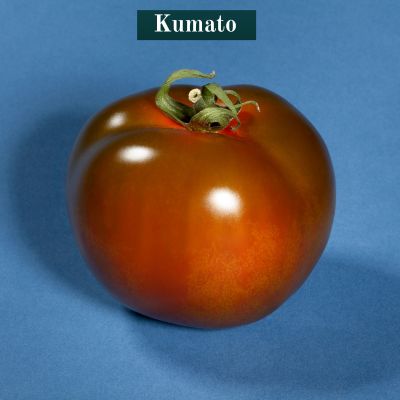 Kumato