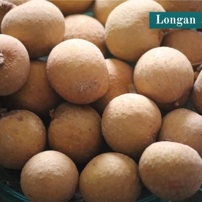 Longan