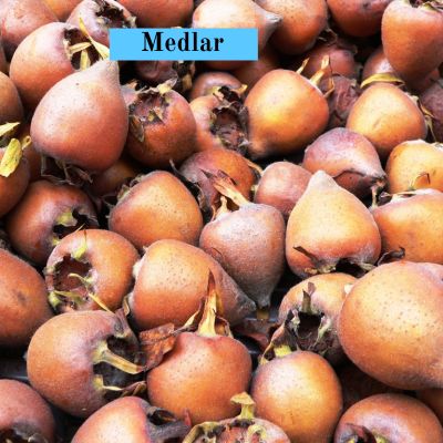 Medlar