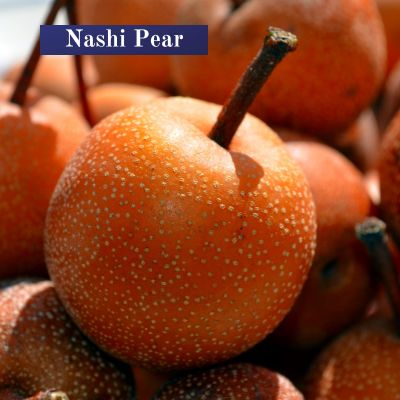 Nashi Pear