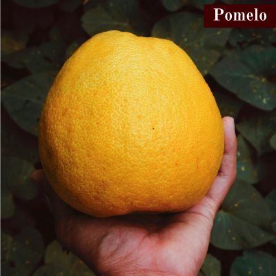 Pomelo