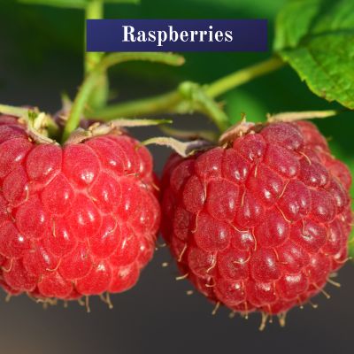 Raspberries