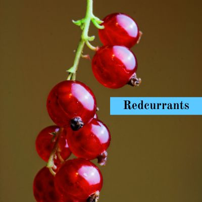 Redcurrants