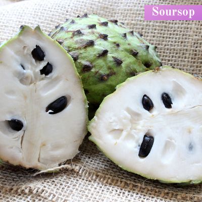 Soursop