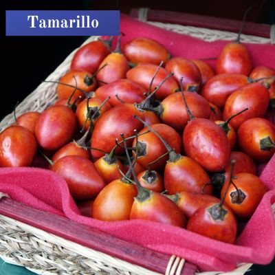 Tamarillo