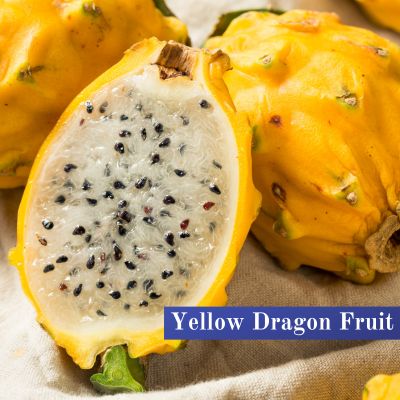 Yellow Dragon Fruit